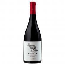 Vinho Balduzzi Almaule Pais Tinto 750 ml